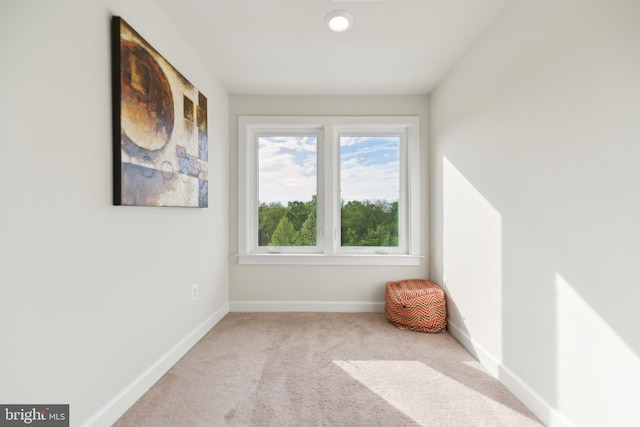1702 River Sandstone Ter SE, Leesburg, VA 20175 - unfurnished room with carpet floors and baseboards