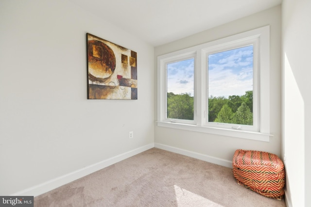 1702 River Sandstone Ter SE, Leesburg, VA 20175 - carpeted spare room with baseboards