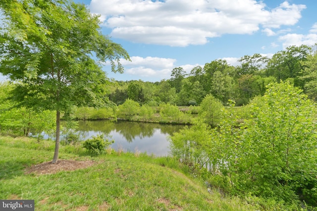 1702 River Sandstone Ter SE, Leesburg, VA 20175 - water view