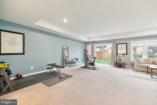 1702 River Sandstone Ter SE, Leesburg, VA 20175 - exercise area with baseboards, carpet, plenty of natural light, and recessed lighting