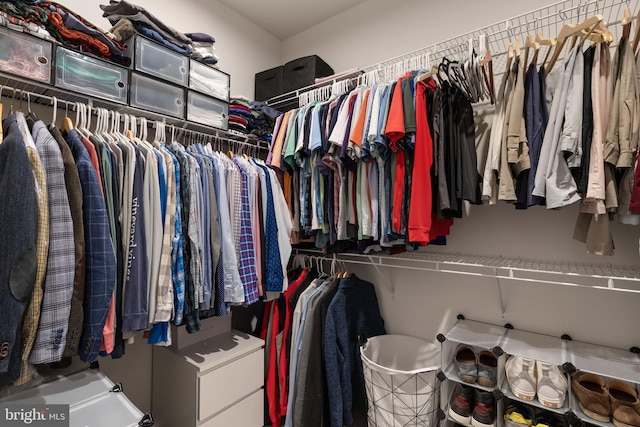 view of spacious closet
