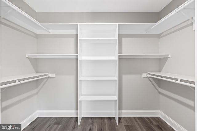 walk in closet with dark wood-type flooring