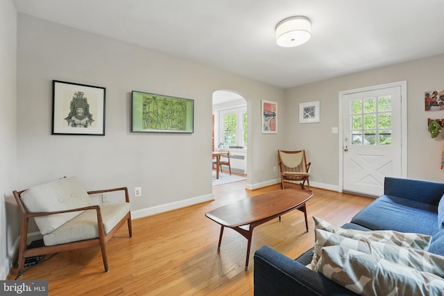 living area featuring baseboards, arched walkways, a wealth of natural light, and light wood-style flooring