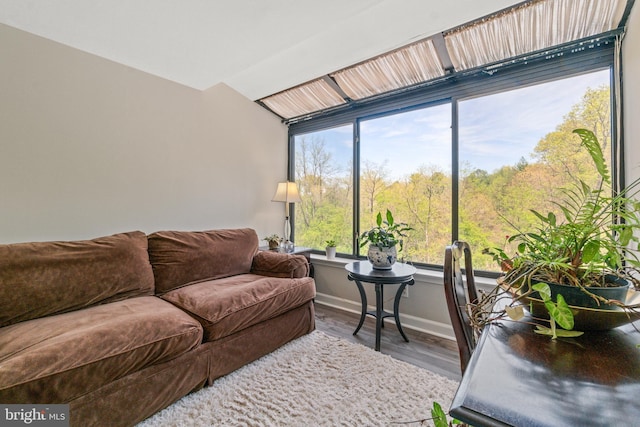 living room featuring lofted ceiling, wood finished floors, and baseboards
