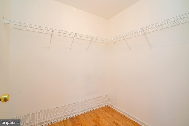 24 Chesapeake Rd, Monmouth Junction, NJ 08852 - walk in closet featuring light wood finished floors