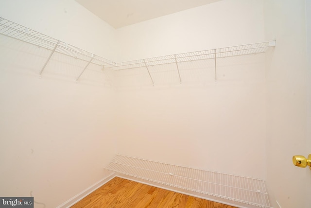 24 Chesapeake Rd, Monmouth Junction, NJ 08852 - spacious closet featuring light wood-type flooring