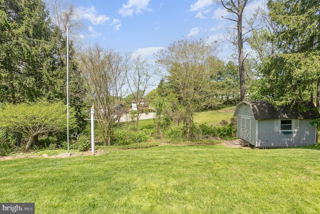 4 Hallbrook Ct, Baltimore, MD 21236 - view of yard featuring an outdoor structure and a storage unit