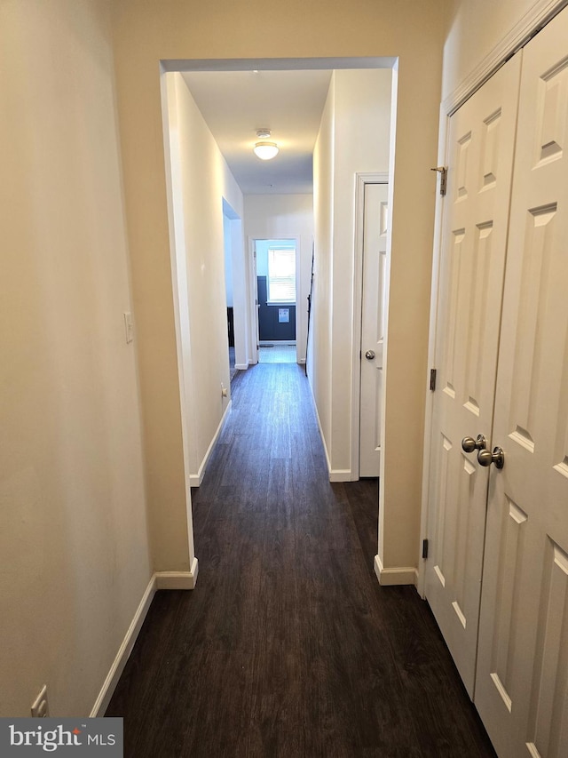 101 Saratoga Ct, North East, MD 21901 - corridor featuring dark wood-style floors and baseboards