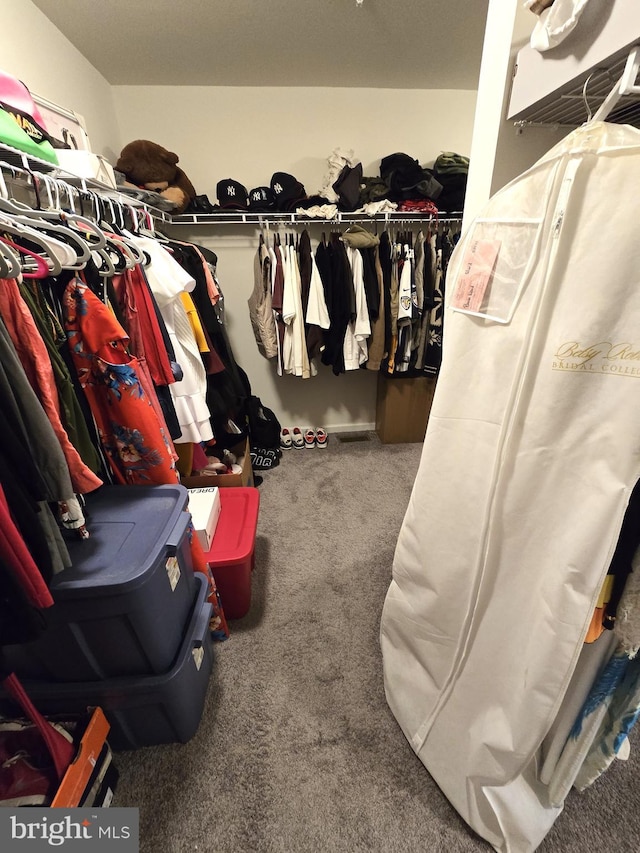 101 Saratoga Ct, North East, MD 21901 - spacious closet featuring carpet floors