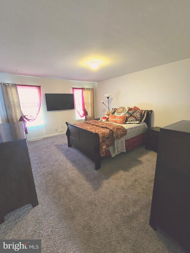 101 Saratoga Ct, North East, MD 21901 - carpeted bedroom with multiple windows