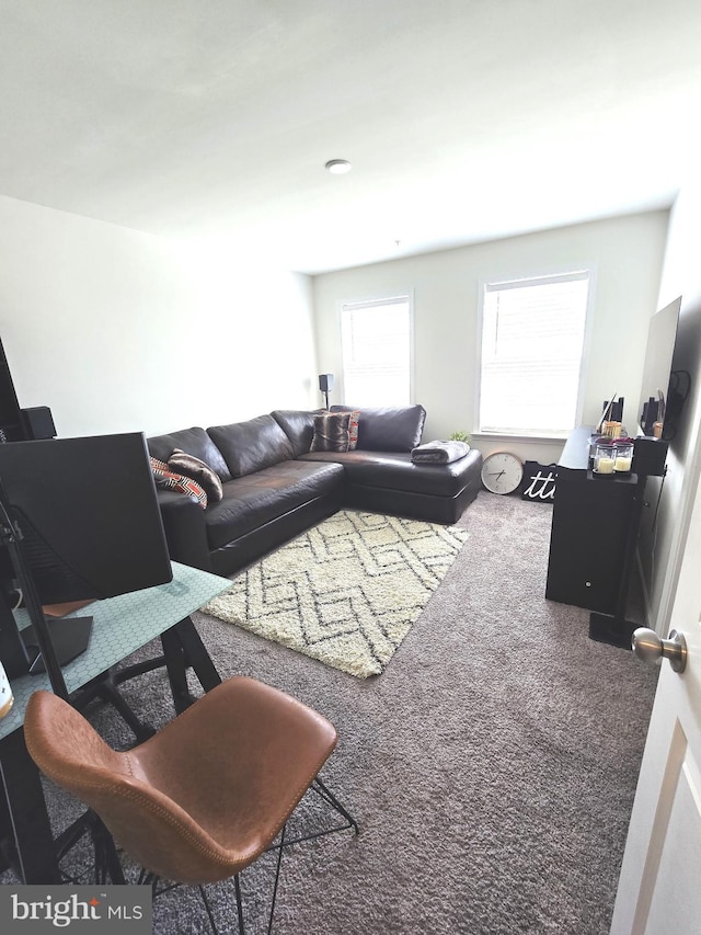 101 Saratoga Ct, North East, MD 21901 - living area featuring carpet