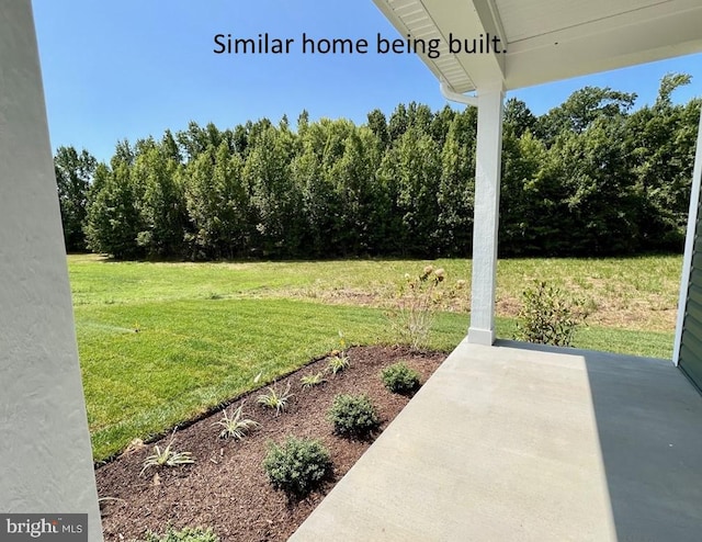 view of yard with a patio area