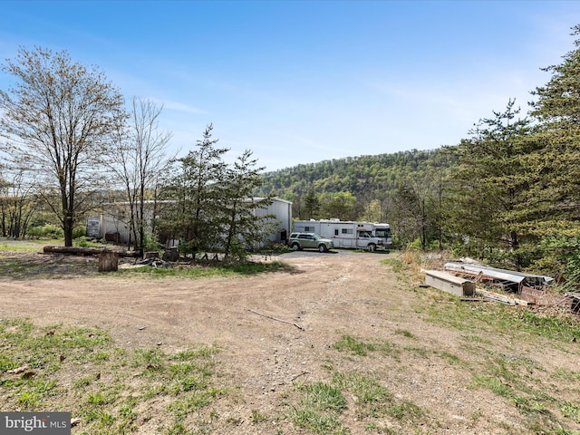 view of yard featuring driveway and a forest view