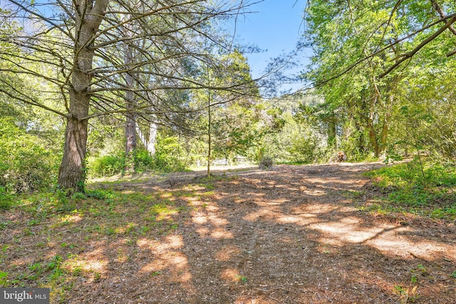 6611 Jupiter Dr, Huntingtown, MD 20639 - view of yard