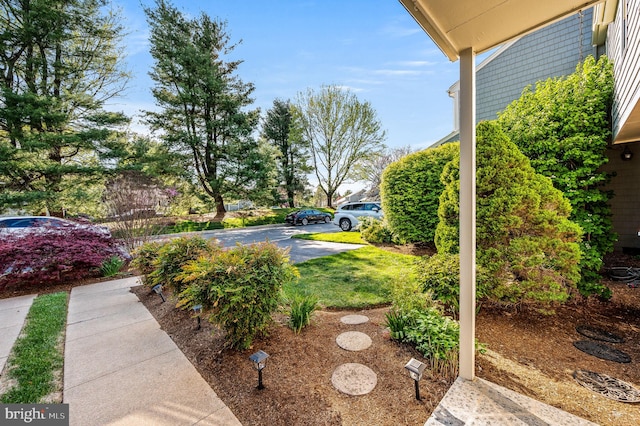 55 E Harrison Rd E Unit 55, West Chester, PA 19380 - view of yard