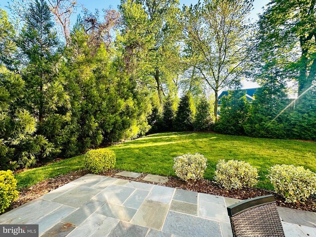 view of yard with a patio