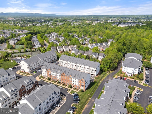 bird's eye view