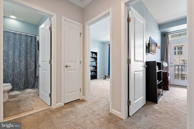 corridor featuring baseboards and carpet flooring