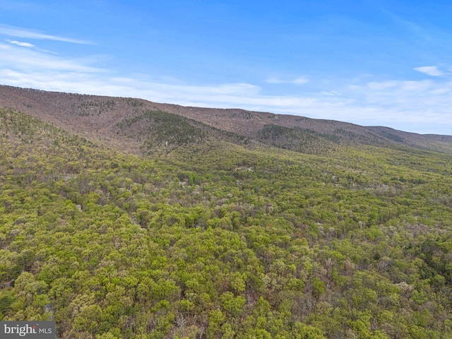 view of mountain feature featuring a wooded view