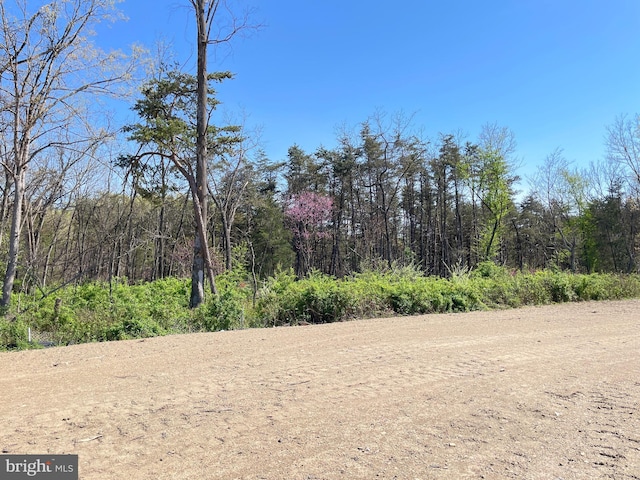 224 Sanibel Way, Martinsburg, WV 25405 - view of local wilderness