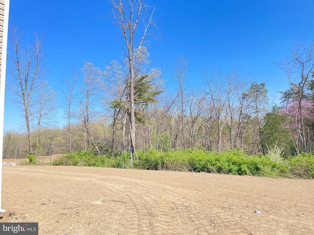 224 Sanibel Way, Martinsburg, WV 25405 - view of yard