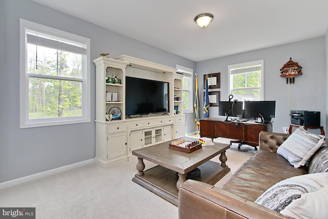 108 Chimney Swift Rd, Fredericksburg, VA 22406 - living area with baseboards and light colored carpet