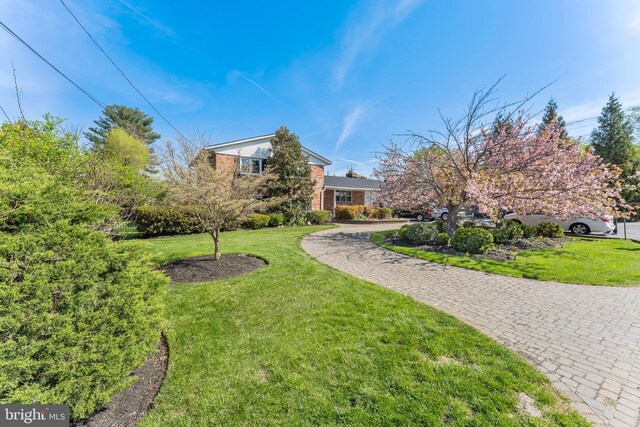 610 Valley Brook Dr, Silver Spring, MD 20904 - view of yard featuring curved driveway
