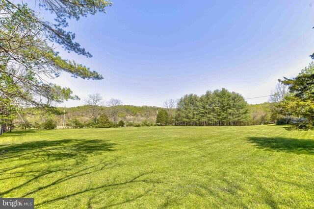 view of grassy yard