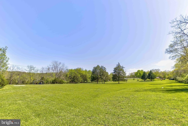 view of grassy yard