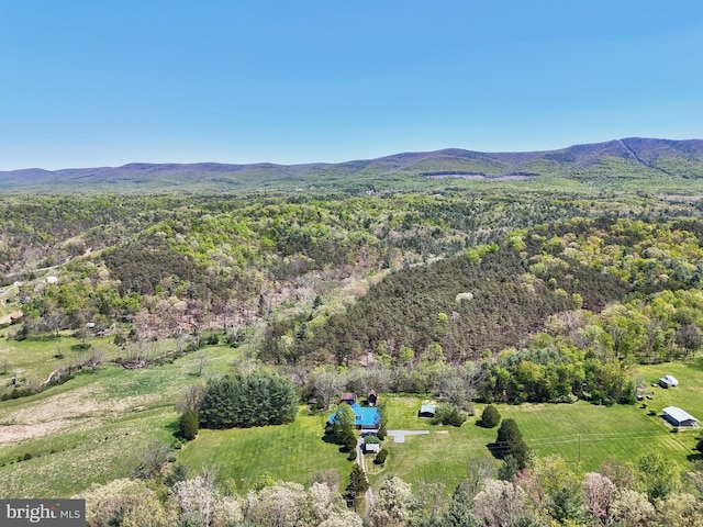 bird's eye view of a mountainous background and a forest