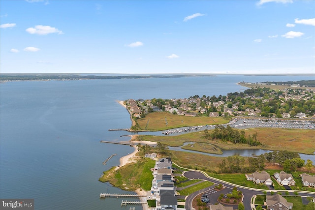 29710 Seagrass Ct, Dagsboro, DE 19939 - drone / aerial view with a water view