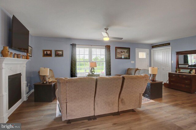 230 Meadowcreek Dr N, Chambersburg, PA 17202 - living area with a premium fireplace, wood finished floors, and ceiling fan