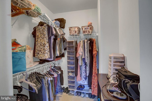 230 Meadowcreek Dr N, Chambersburg, PA 17202 - view of walk in closet