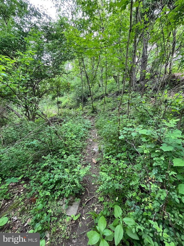 28 Wenner Dr, Brunswick, MD 21716 - view of local wilderness