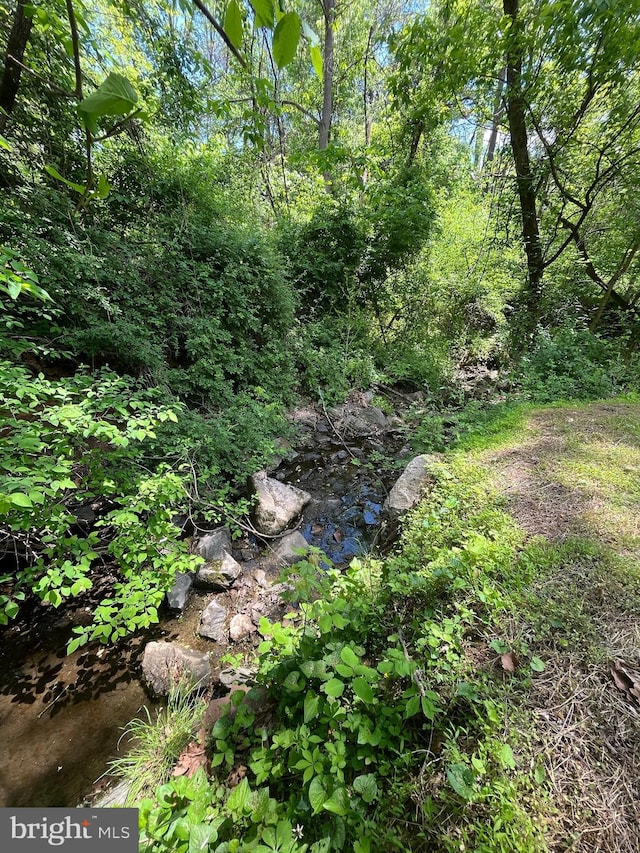 28 Wenner Dr, Brunswick, MD 21716 - view of nature