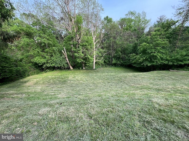 28 Wenner Dr, Brunswick, MD 21716 - view of yard featuring a forest view