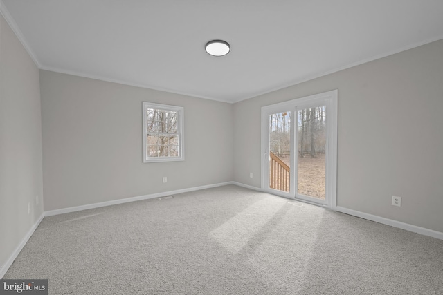 spare room featuring ornamental molding, carpet, and baseboards