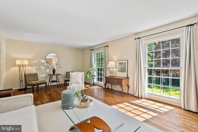 living room featuring wood finished floors
