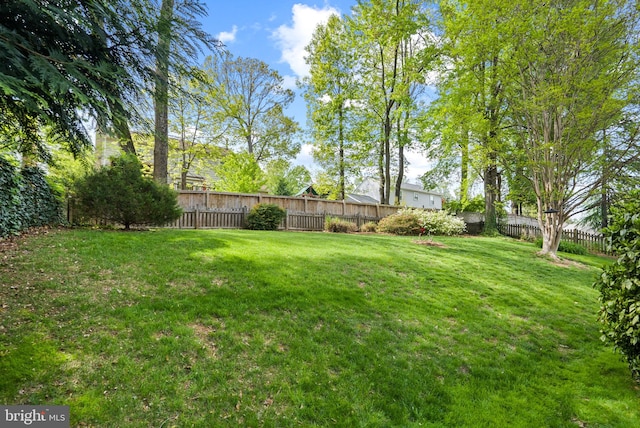 view of yard featuring a fenced backyard