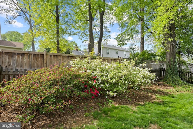 view of yard with a fenced backyard
