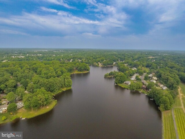 birds eye view of property featuring a water view and a wooded view