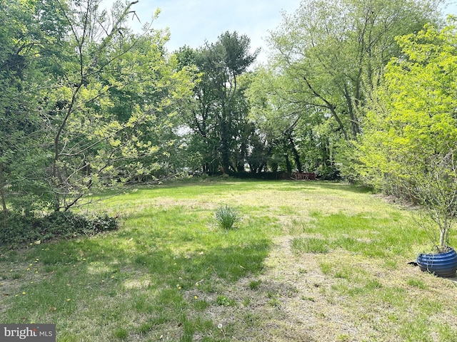 view of yard featuring a forest view