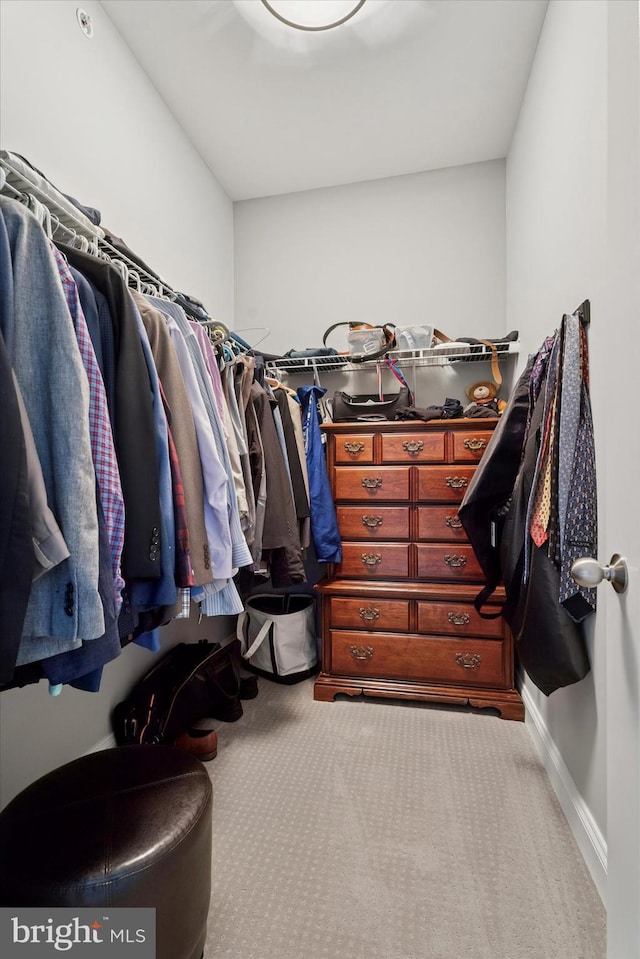 6179 Creekside Dr, Flourtown, PA 19031 - walk in closet featuring carpet flooring