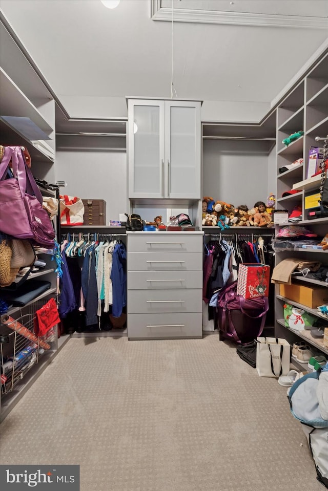 6179 Creekside Dr, Flourtown, PA 19031 - spacious closet with attic access and carpet