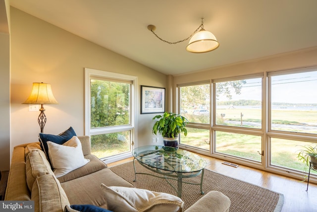 3734 1st Ave, Edgewater, MD 21037 - living area with visible vents, wood finished floors, and vaulted ceiling