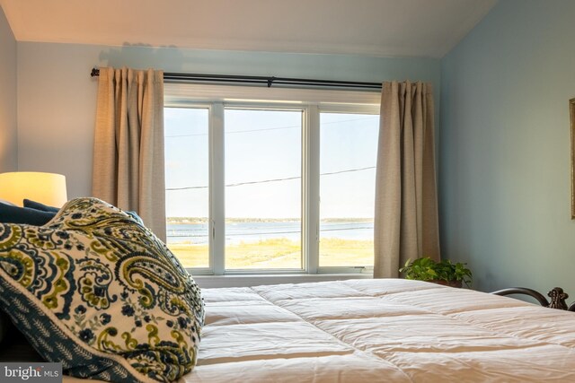 3734 1st Ave, Edgewater, MD 21037 - bedroom with a water view