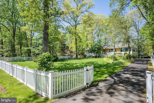exterior space with a yard, a fenced backyard, and aphalt driveway