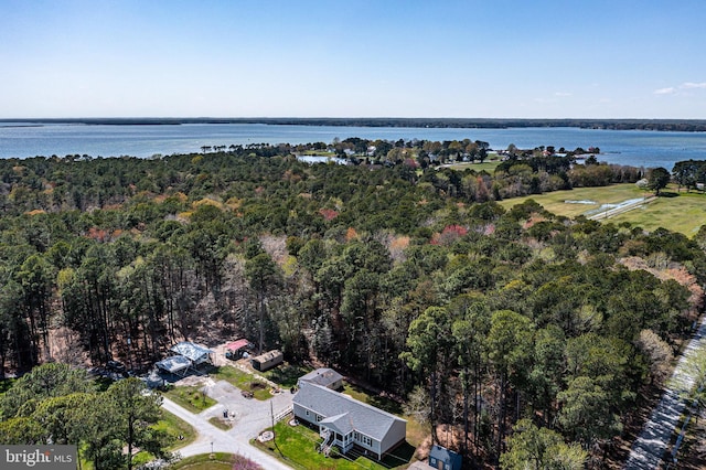 33 Douglas St, Reedville, VA 22539 - aerial view with a wooded view and a water view