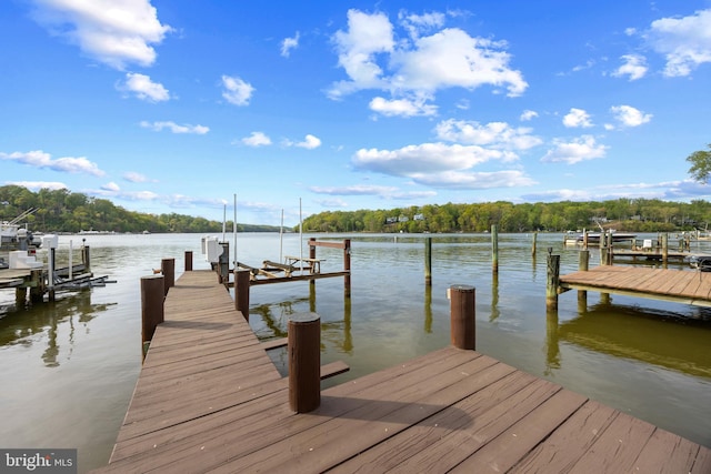 dock area featuring boat lift and a water view