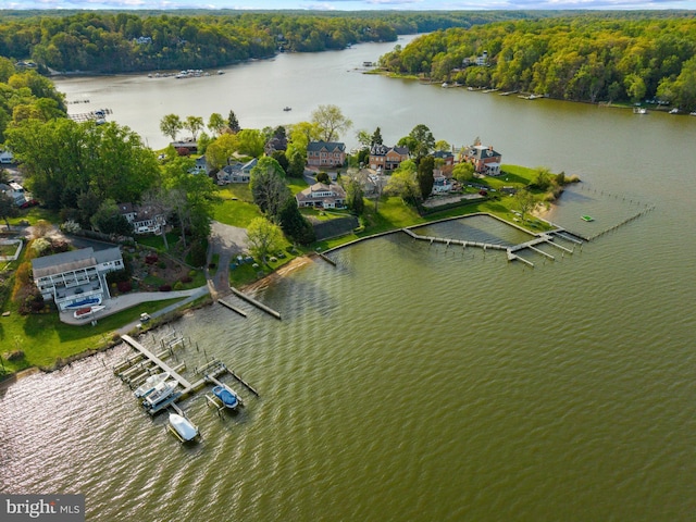 birds eye view of property with a water view and a view of trees